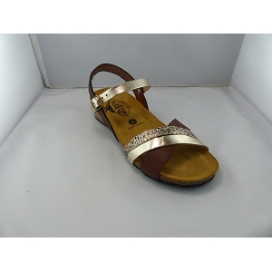 PLAKTON NORTE<br>Marron