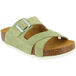 PLAKTON CP BOLUDO<br>Kaki