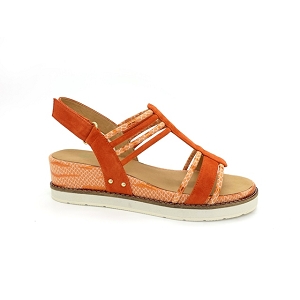 FUGITIVE BIOME<br>Orange