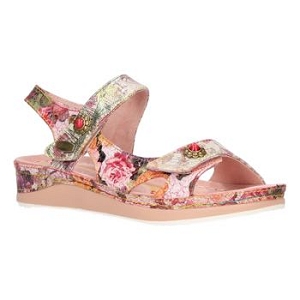 LAURA VITA BRCUELO 73<br>Rose Multicouleurs