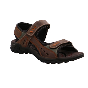 ROHDE 5930<br>Marron