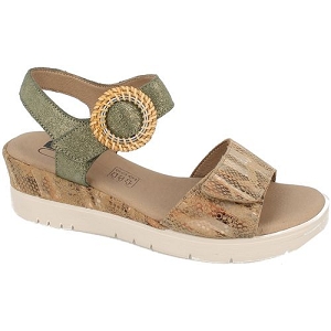 GEO REINO KEPAR<br>Kaki