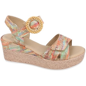 GEO REINO VIALOR<br>Multicouleurs