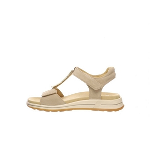 ARA 34804<br>Sable