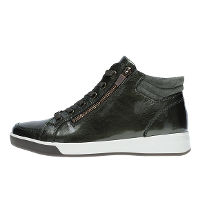 23604 24499:Cuir/Vert