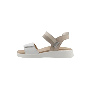 ARA 21406 04<br>Blanc multicouleurs