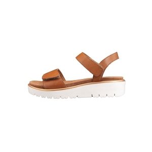 ARA 33518 09<br>Cognac