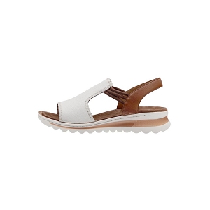 ARA 47225 14<br>Cognac