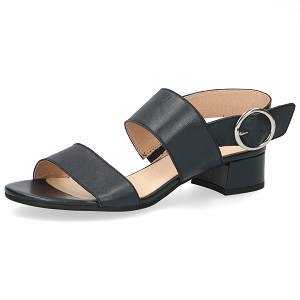 CAPRICE 28202<br>Marine